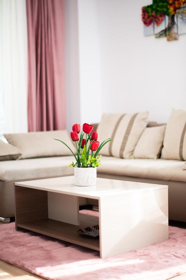 Claseb Apartment Timisoara Luaran gambar